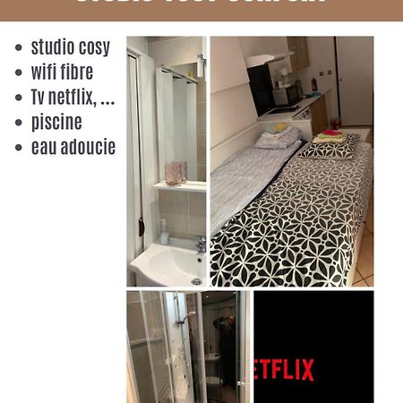 Joli Studio Tout Confort Avec Toutes Commodites Во-ан-Велен Экстерьер фото